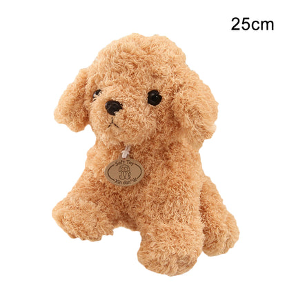 Teddy dog plush toy