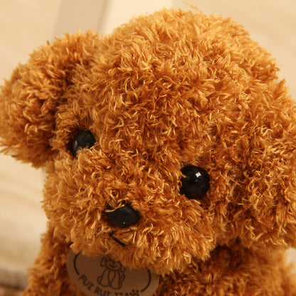 Teddy dog plush toy