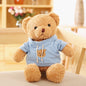 Teddy bear stuffed toy