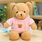 Teddy bear stuffed toy
